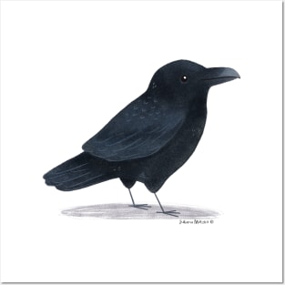 American Crow Posters and Art